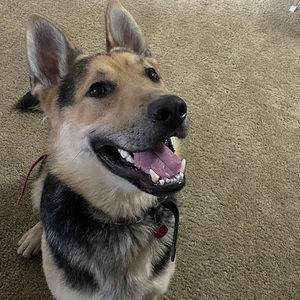 Meet your Posher, Nahomi